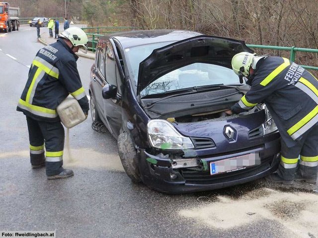 Foto: FF Weidlingbach