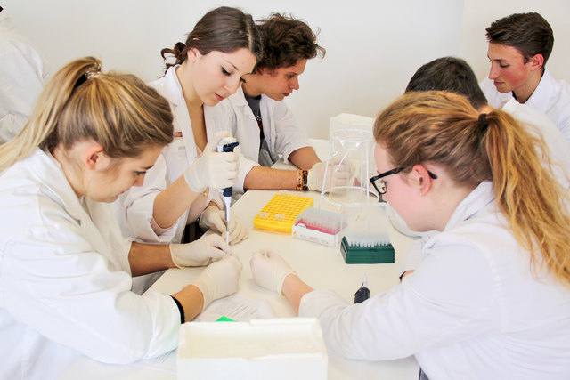Molekularbiologische Methoden wandten die 7. und die 8. Klasse des Gymnasiums an. | Foto: BORG Jennersdorf