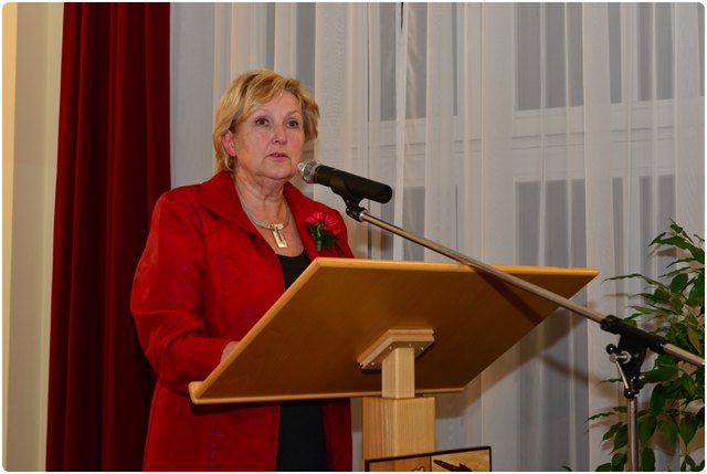 Eva-Maria Hatzl bei ihrer letzten Rede als Bezirksvorsteherin. | Foto: Manfred Sebek