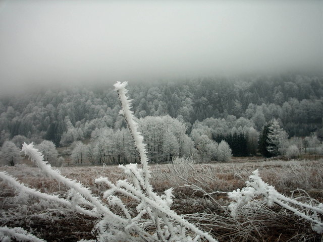 Foto: Windbichler