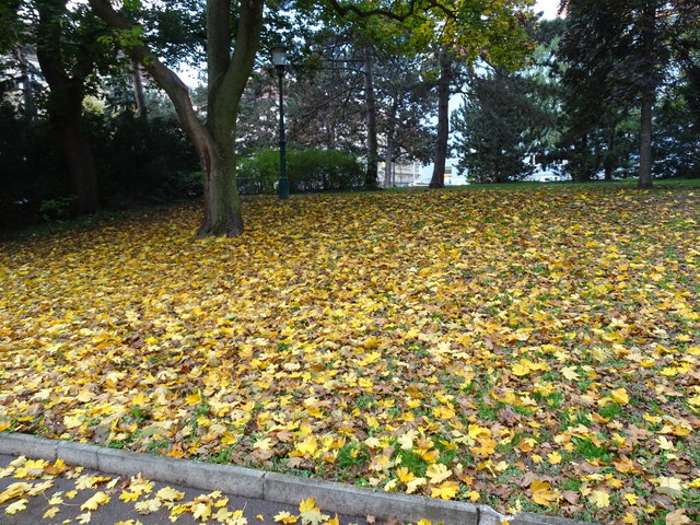 Im Kongresspark