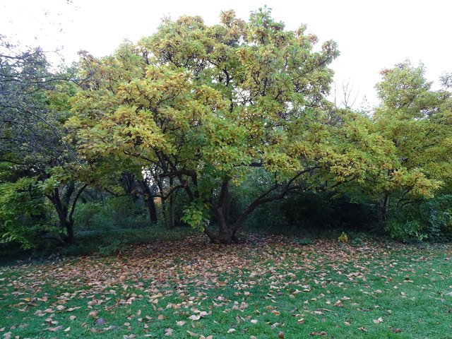 Im Kongresspark