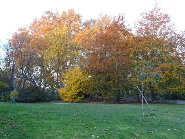 Im Kongresspark
