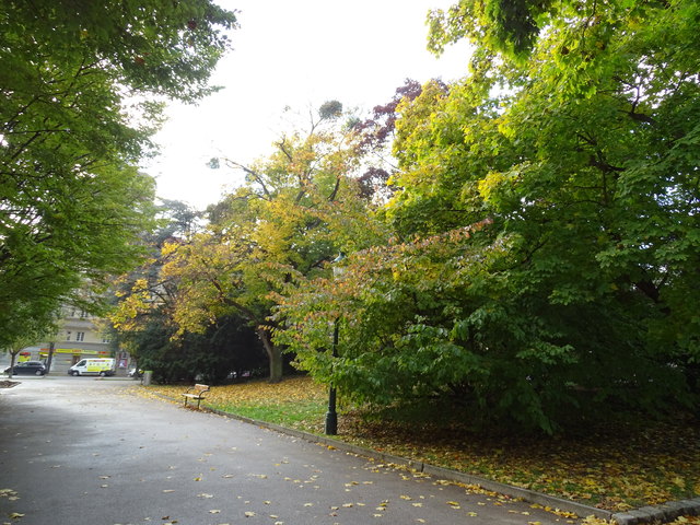 Im Kongresspark
