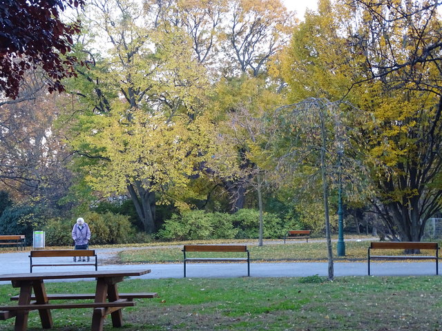 Im Kongresspark