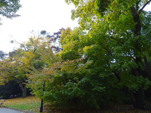 Im Kongresspark