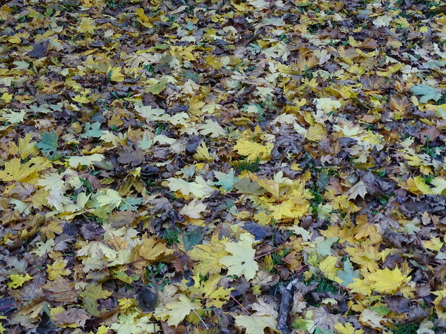 Im Kongresspark