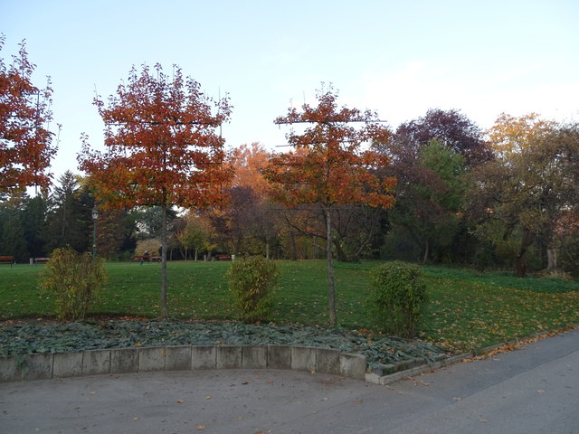 Im Kongresspark