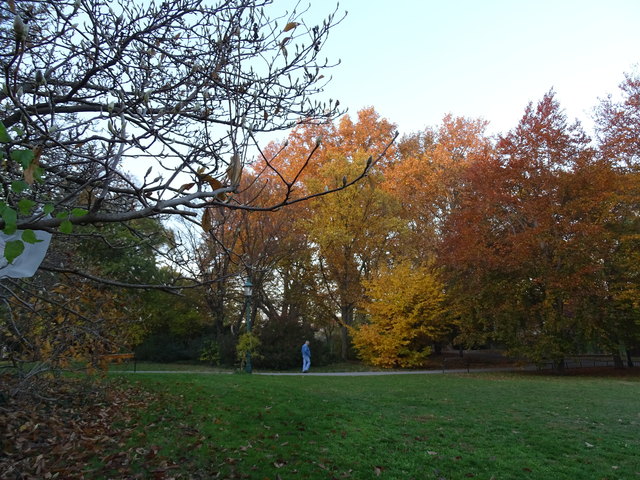 Im Kongresspark