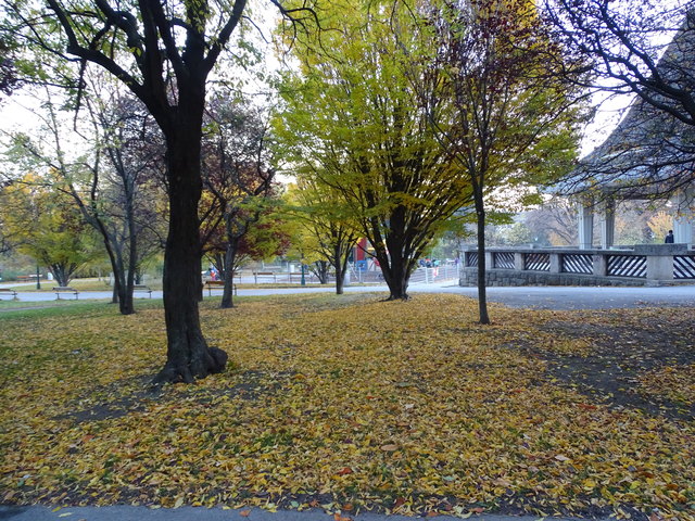 Im Kongresspark