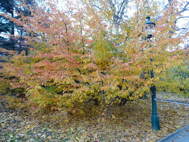 Im Kongresspark