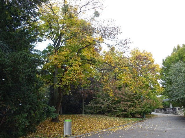 Im Kongresspark