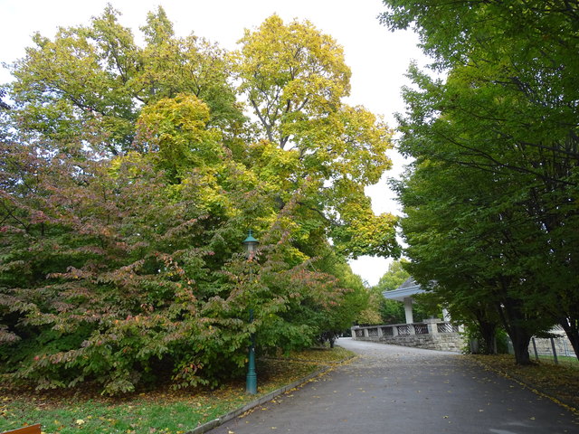 Im Kongresspark