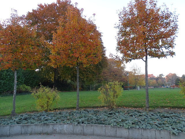 Im Kongresspark