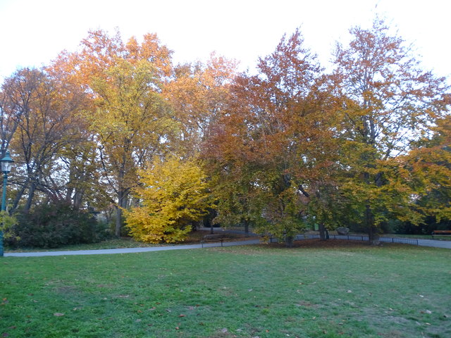 Im Kongresspark