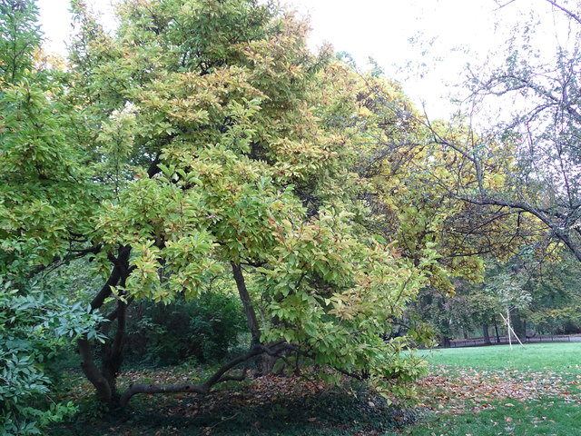 Im Kongresspark