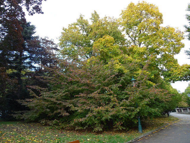 Im Kongresspark