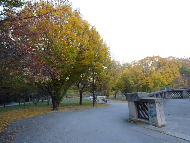 Im Kongresspark