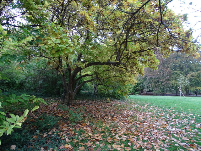 Im Kongresspark
