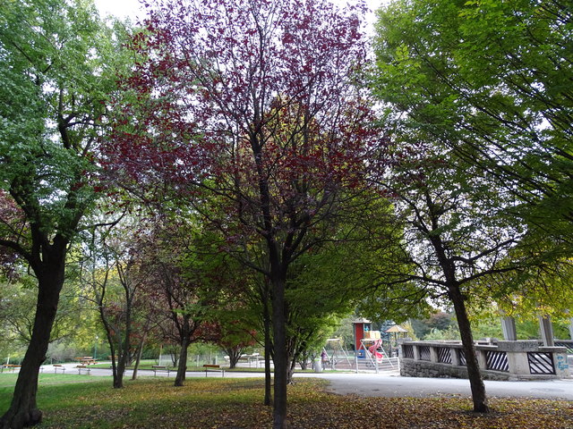 Im Kongresspark
