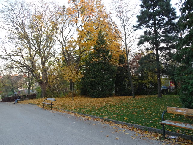 Im Kongresspark