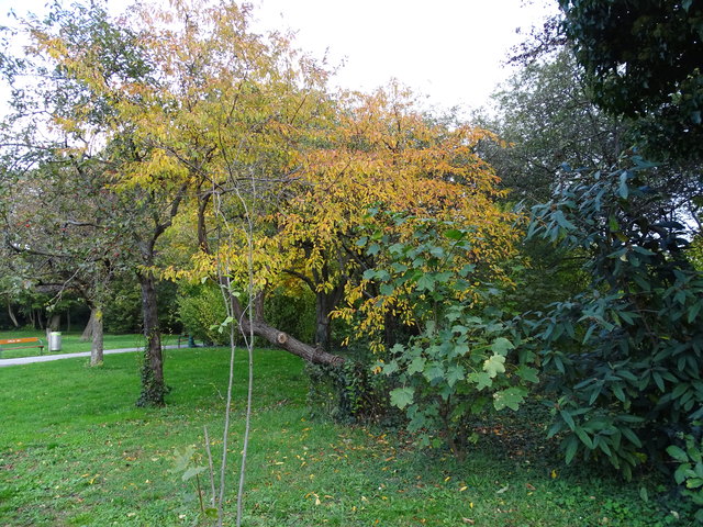 Im Kongresspark
