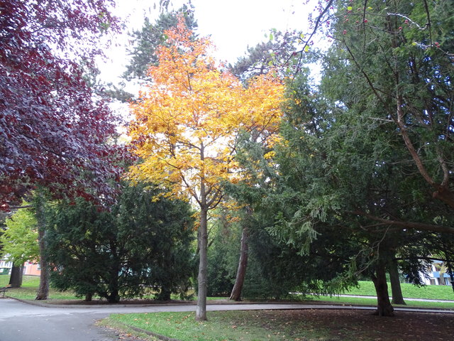 Im Kongresspark