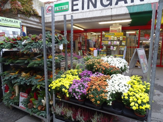 Herbstblumenangebot im Baumarkt