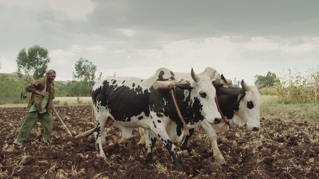 Foto: Filmladen Filmverleih