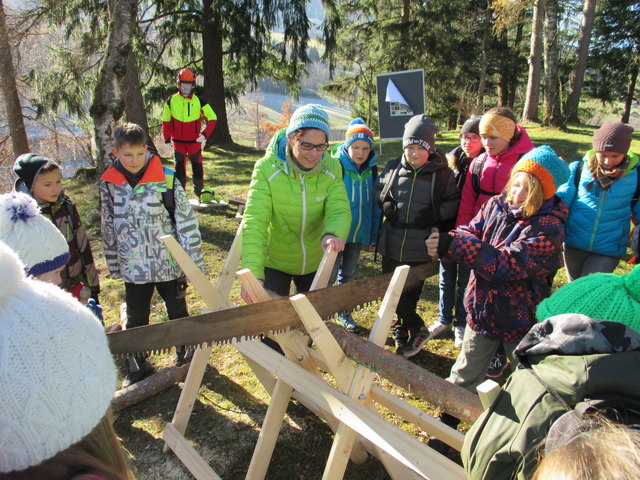 Foto: HBLFA Raumberg-Gumpenstein