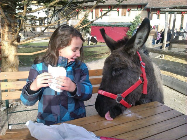 Wer ist schneller? und hungriger?