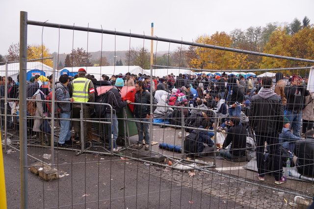 Foto: Waltraud Fischer