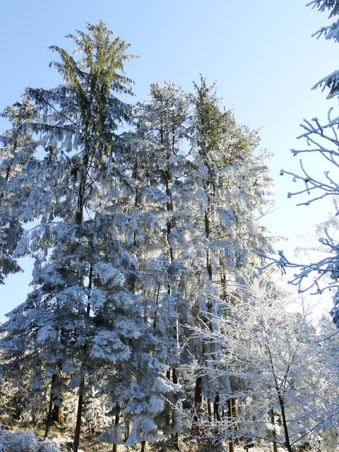 Die Sonne legt behutsam ihre Strahlen auf die zarten Kristalle