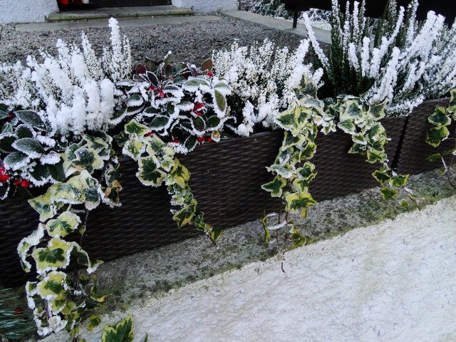 vor der Kapelle hat der Reif seine Verzierung angebracht
