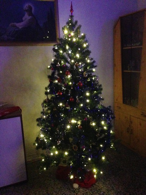 Mein Christbaum von diesen Jahr