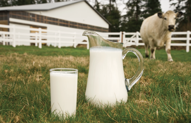 Foto: iStockPhoto