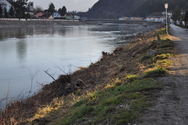 trauriger Anblick