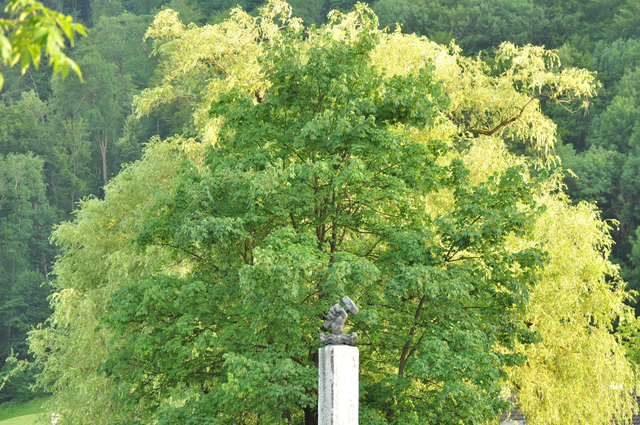 auch nicht mehr bei uns - die helle Weide am Neumayer-Platz 2012