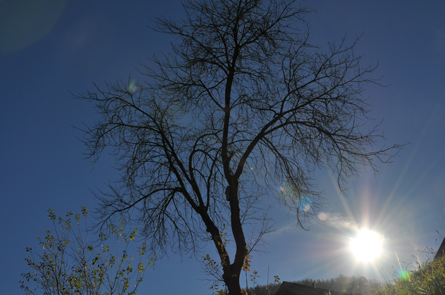 November-Sonne am linken Ufer 2013