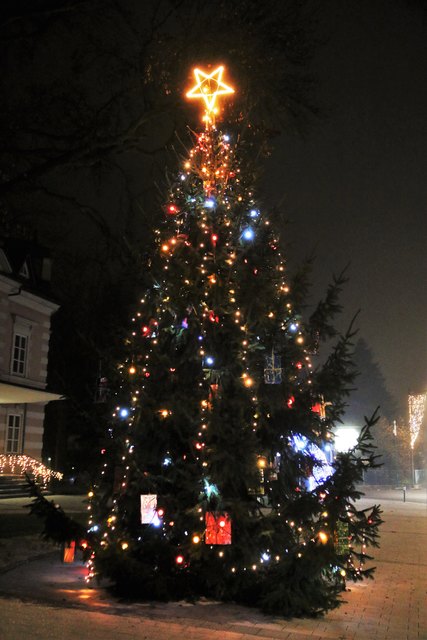 Christbaum Velden Adventmarkt 