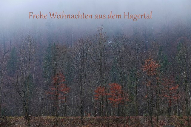 Weihnachten im Hagertal