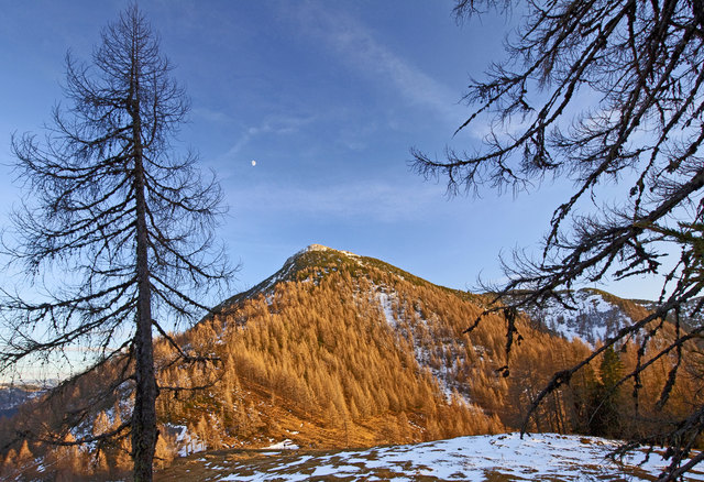 ... auf der Lackenalm mit dem Lackenkogel