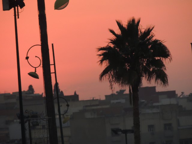 Abendstimmung