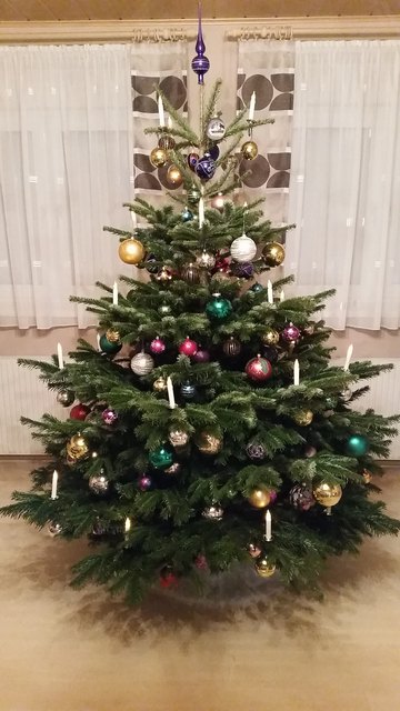 Unser kunterbunter Christbaum!