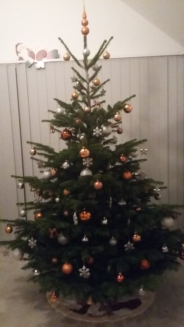 Unser wunderschöner Christbaum..