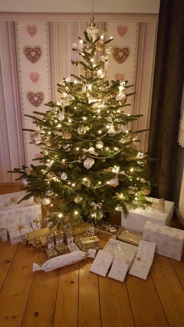 Mein kleiner feiner Baum