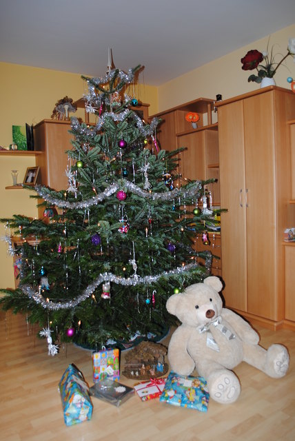 Auch dem neuen Kuschelbären gefällt unser bunter Weihnachtsbaum.