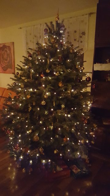 Frohe Weihnachten wünscht Familie Entler