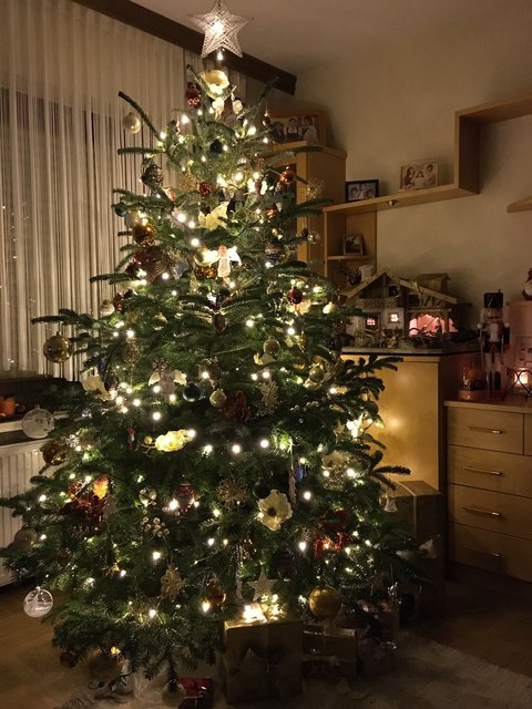 Unser wunderbarer Christbaum 2015