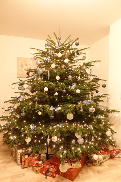 Christbaum der Familie Stekovics/Prior